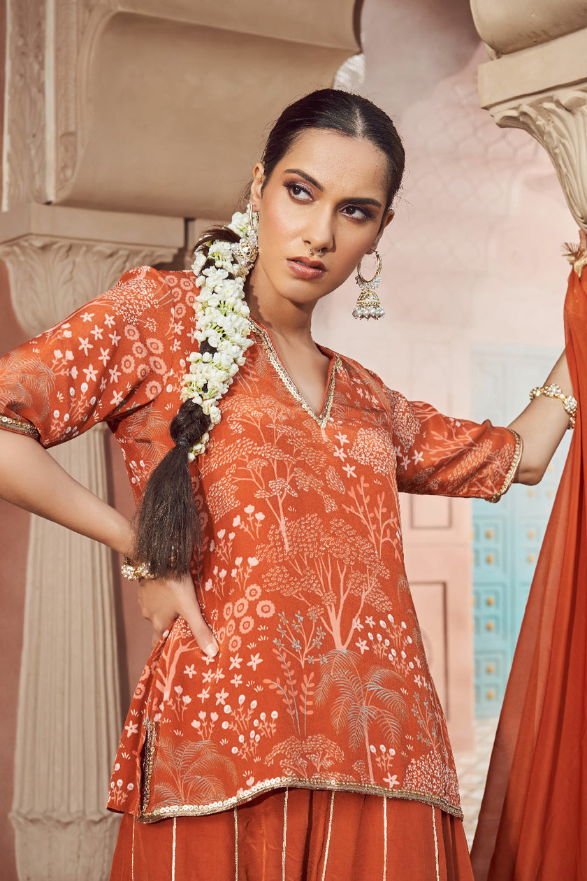 Rust Orange Organza Embroidered Kurta Set