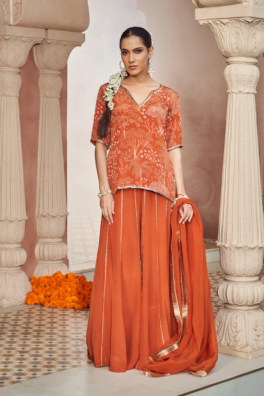 Rust Orange Organza Embroidered Kurta Set