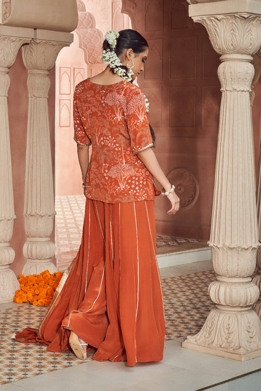 Rust Orange Organza Embroidered Kurta Set
