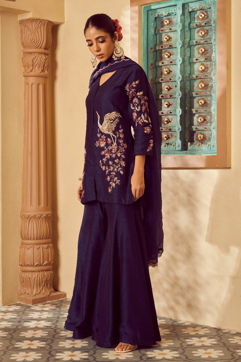 Navy Silk Organza Embroidered Kurta Set