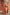 Rust Orange Crepe Silk Embroidered Anarkali set