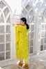 Lime Green Abstract Printed Kaftan Set