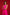 Pink Short Kurta Set