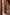 Wine Dupion Silk Printed and Embroidered Kurta Set