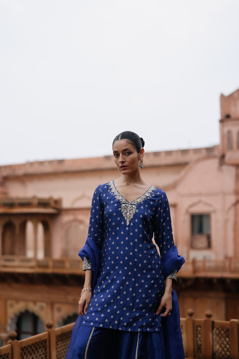 Blue Dupion Silk Printed and Embroiderd Sharara Set