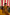 Mustard Yellow Sharara Set