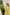 Lime Green Hand Embroidered Kurta Set